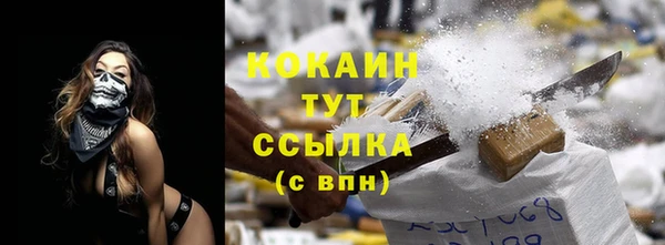 стаф Вяземский
