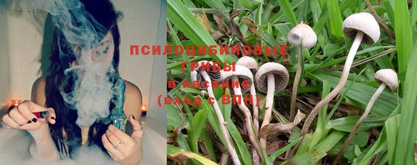 стаф Вяземский