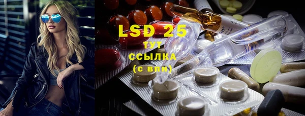стаф Вяземский